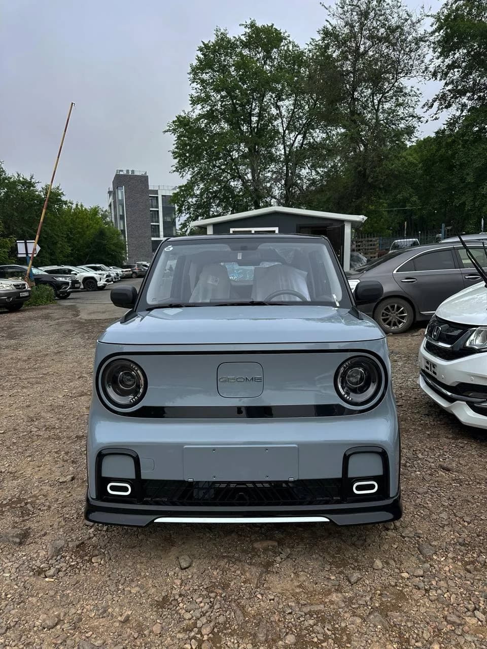 Geome Panda Mini 2025